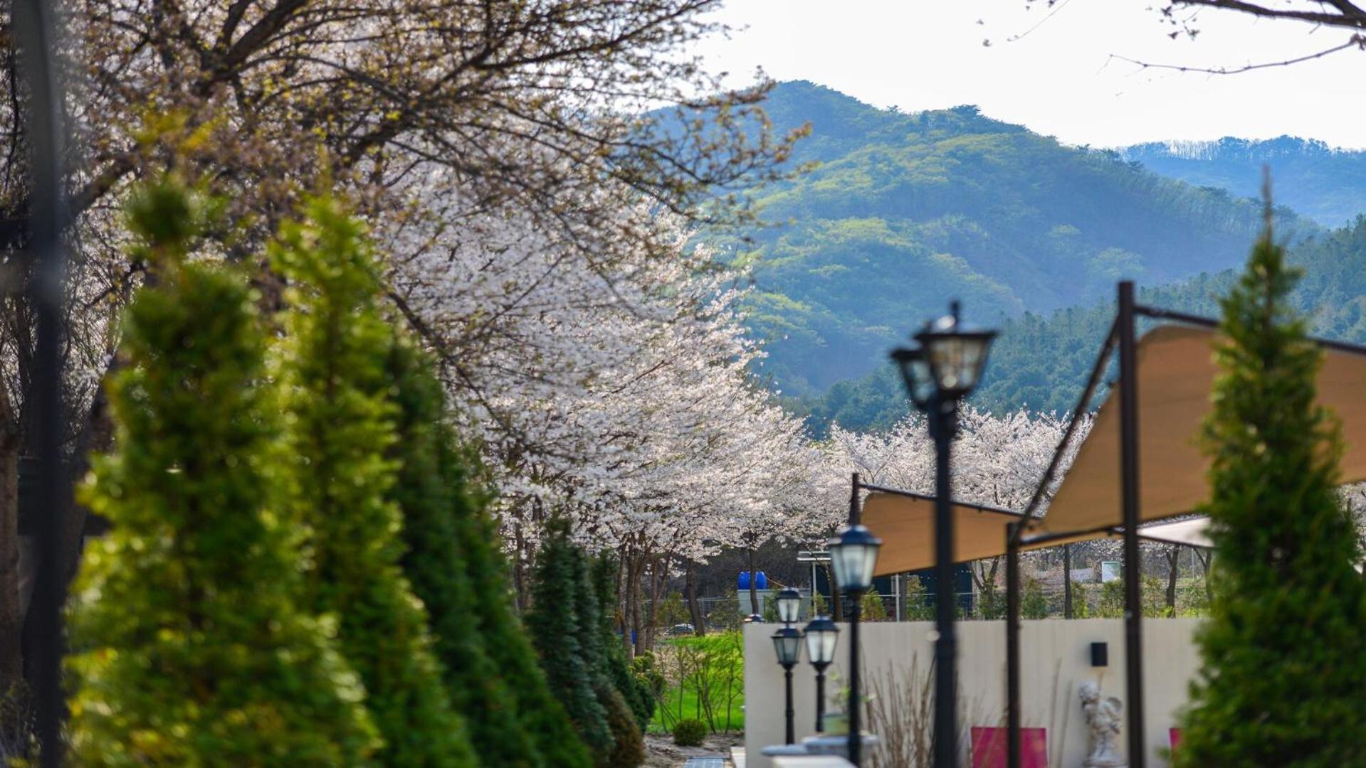 Sarongde Bangdong Hotel Chuncheon Exterior photo