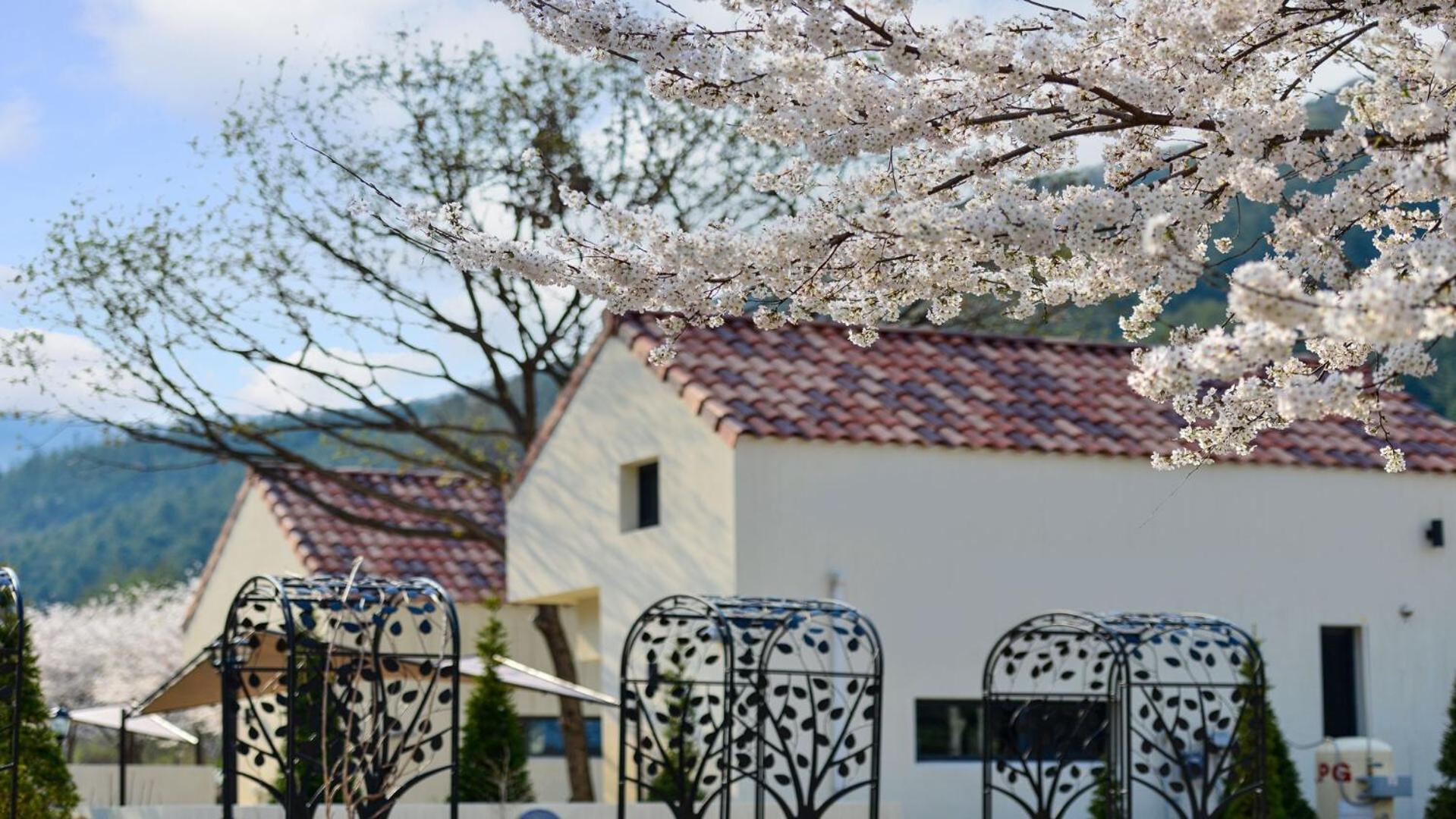 Sarongde Bangdong Hotel Chuncheon Exterior photo