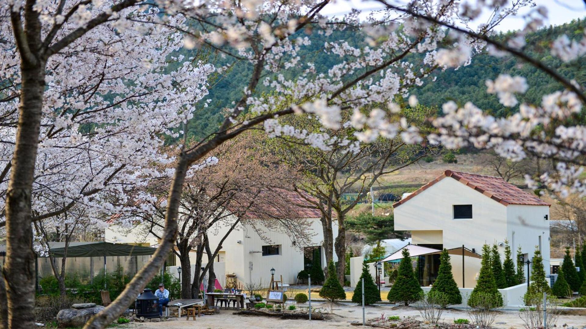 Sarongde Bangdong Hotel Chuncheon Exterior photo