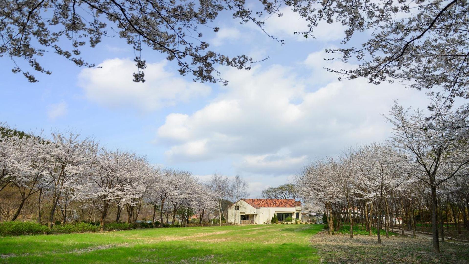 Sarongde Bangdong Hotel Chuncheon Exterior photo