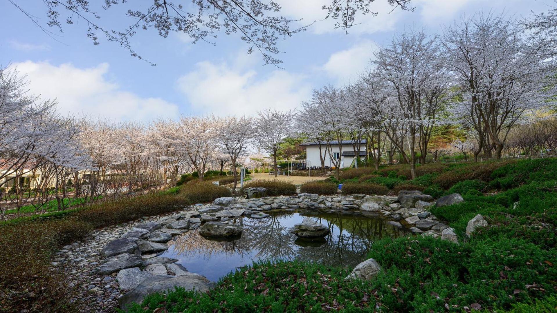 Sarongde Bangdong Hotel Chuncheon Exterior photo