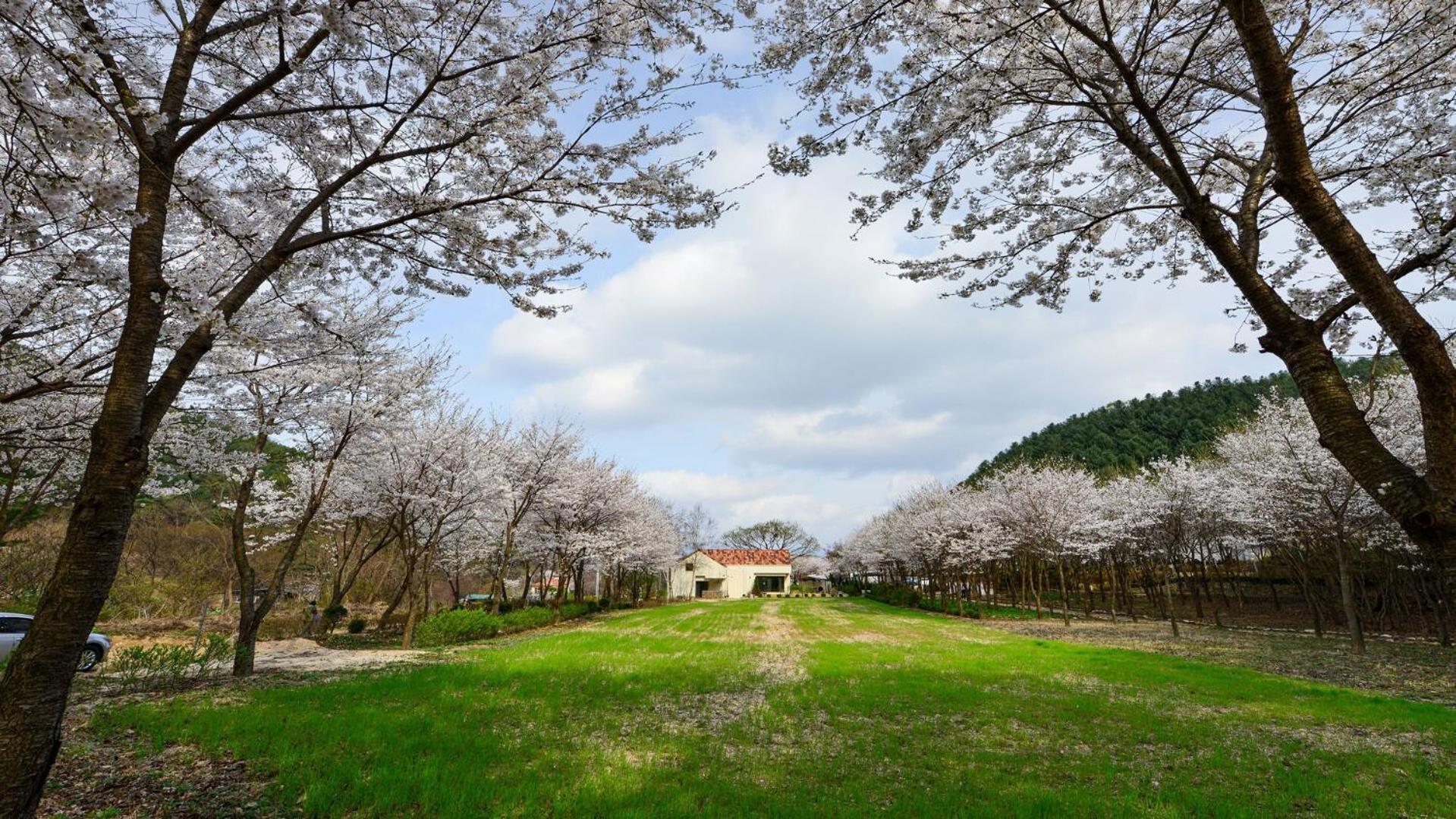 Sarongde Bangdong Hotel Chuncheon Exterior photo